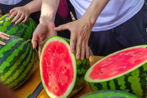 莱州今日吃瓜爆料,揭秘当地热点事件背后的真相  第2张