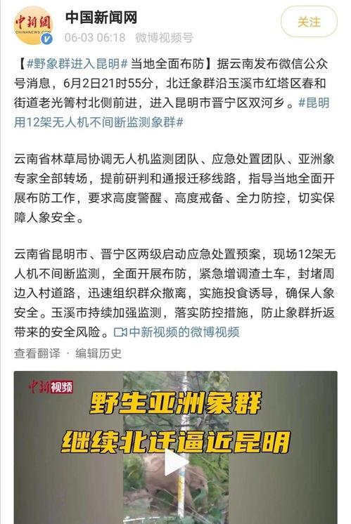 大象新闻爆料情感剧本是真的吗,真相揭秘，是虚构还是真实？  第3张